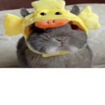 YIYUSITA FANS xD