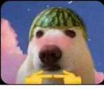 Ponle nombre a tu grupo xd