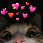 FMOJKEKI