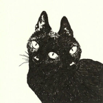 mercury シ