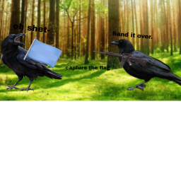 Ravens fam's capture the flag! (game)