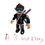 Ninja######