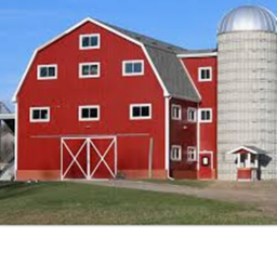 Life On The Farm