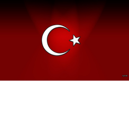 T-Ü-R-K-T-A-N-I-Ş-M-A