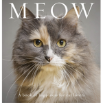 Meow Saoirse