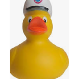 The Ducky game!  (In progress)