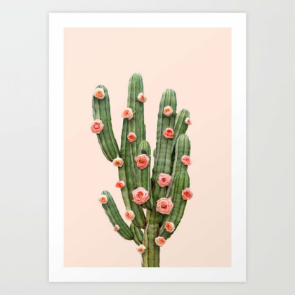 [purple/pink] cactus and roses Roblox decal