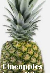Pineapples [Java edition]