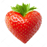 ShadowBerry Gang