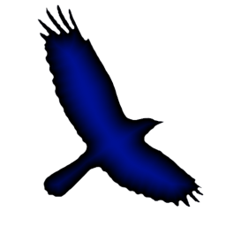 Raven Wing Unit Special Operations