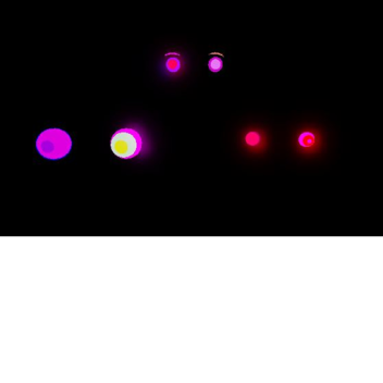 The Destroyers Of Multiverses