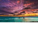 •~Kealoha hawiian group~•