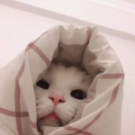 Crystal_rawr