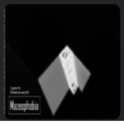 wdys's mazeophobia