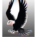 Fire Eagle Squad