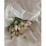~ Lucy’s Boutique ~