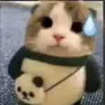 NitsuGang