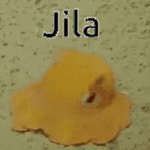 jila