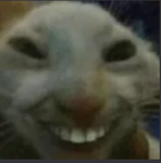 cat emwkakmdre