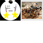 the elite task force high ranks (e.t.f.h.r)