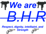 Blue Hornets of Roblox [BHR]