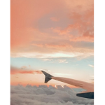 Gymnastics planes