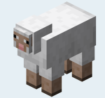 Minecraft Sheep's Group