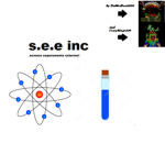 S.E.E INC -
