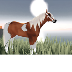 Magic Millions Thoroughbred Society