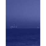 p4cific blue
