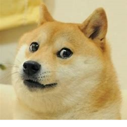 New Bork City