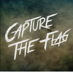 Capture the flag (Yo mama vs Joe mama)