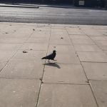 london locals