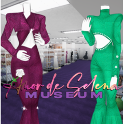 Amor De Selena Museum | 2008