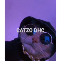 CATZO DHC
