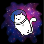 cats in space:)