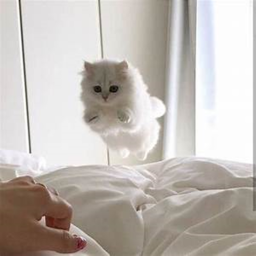 cute
