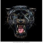 KingPanther