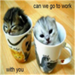 The tiny cat army