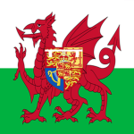 The 41th Regiment of Foot