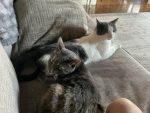 Autumn’s Angels besties
