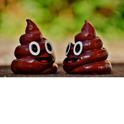 the poop center O_O
