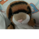 Raise A Baby Tiger Fan Group / Regular Group