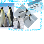 Penguin Military 2000’s