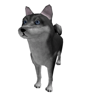 Husky shoulder pet