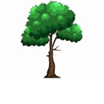 Tree :O