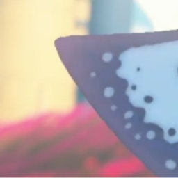 🦈