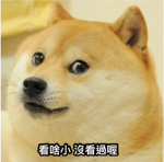 pig_10088