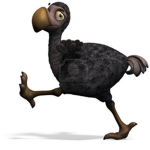 The Mexican Dodo Birds