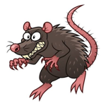 Rat Baddies 4 life